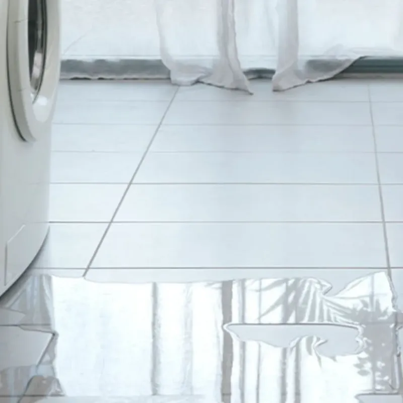 Appliance Leak Cleanup in Caroline County, MD