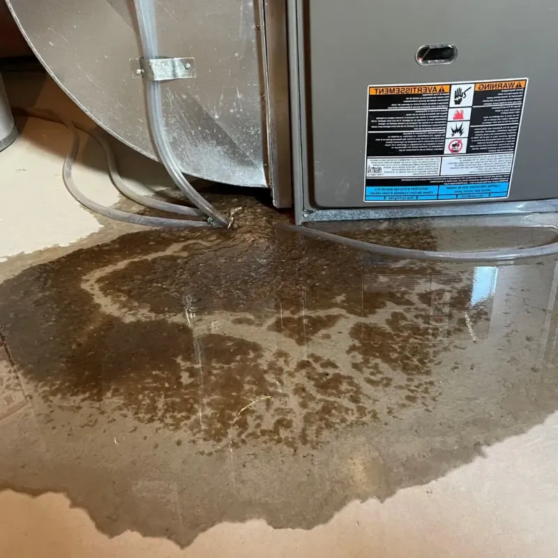 Pipe Burst and Leak Restoration in Caroline County, MD
